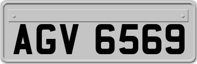 AGV6569