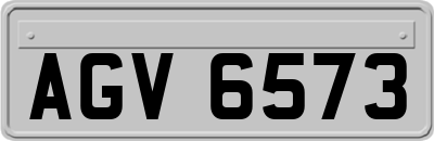 AGV6573