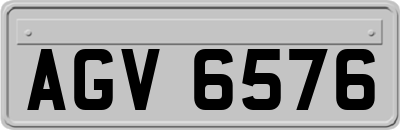 AGV6576