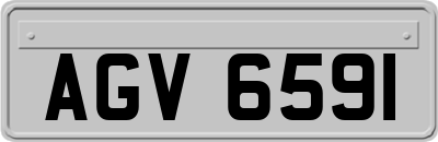 AGV6591