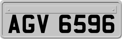 AGV6596