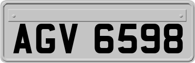 AGV6598