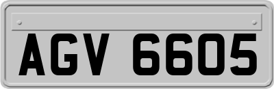 AGV6605