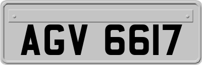 AGV6617