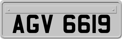 AGV6619