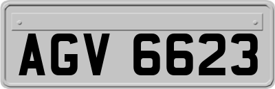 AGV6623
