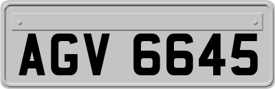 AGV6645