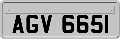 AGV6651