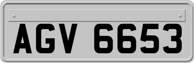 AGV6653