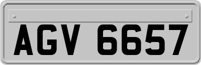 AGV6657