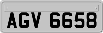 AGV6658