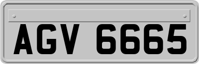 AGV6665