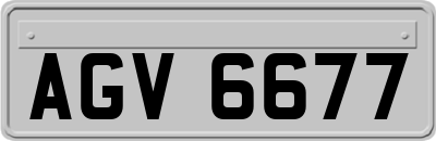 AGV6677