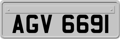 AGV6691