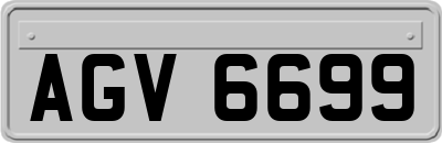 AGV6699
