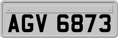 AGV6873