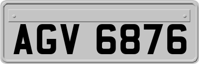AGV6876