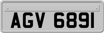 AGV6891