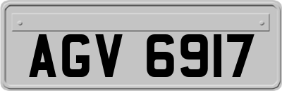 AGV6917