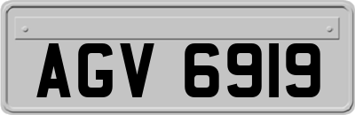 AGV6919