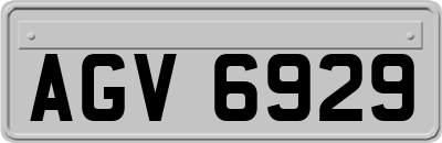 AGV6929