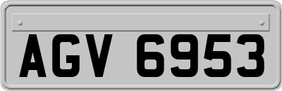 AGV6953