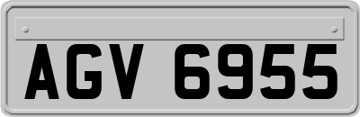 AGV6955