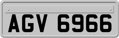 AGV6966