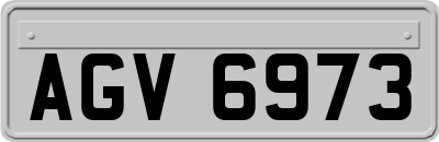 AGV6973