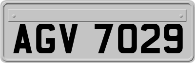 AGV7029