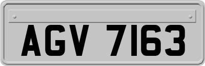AGV7163