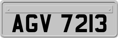 AGV7213