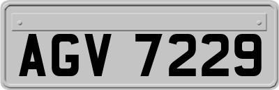 AGV7229
