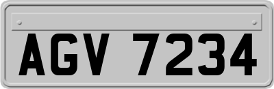 AGV7234
