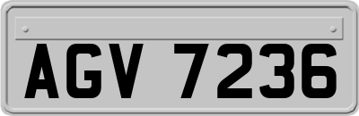 AGV7236