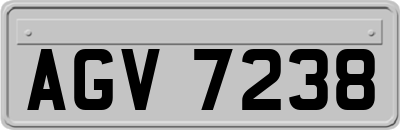 AGV7238