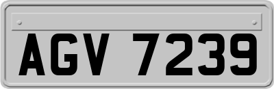 AGV7239