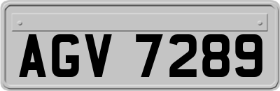 AGV7289