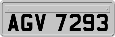 AGV7293