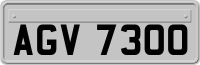 AGV7300