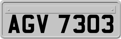 AGV7303