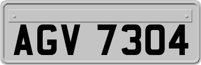 AGV7304