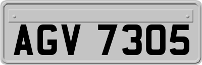 AGV7305