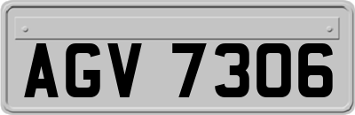 AGV7306