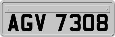 AGV7308