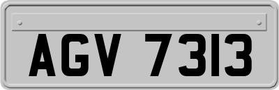 AGV7313