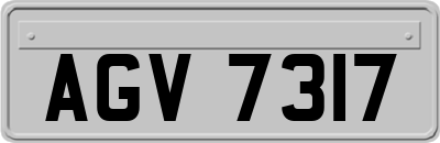 AGV7317