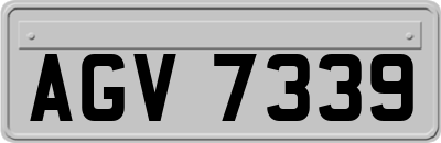 AGV7339