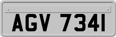 AGV7341