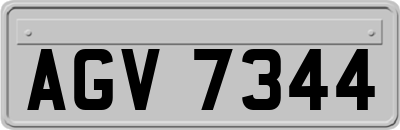 AGV7344